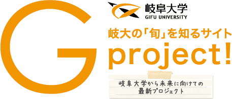 G-Project